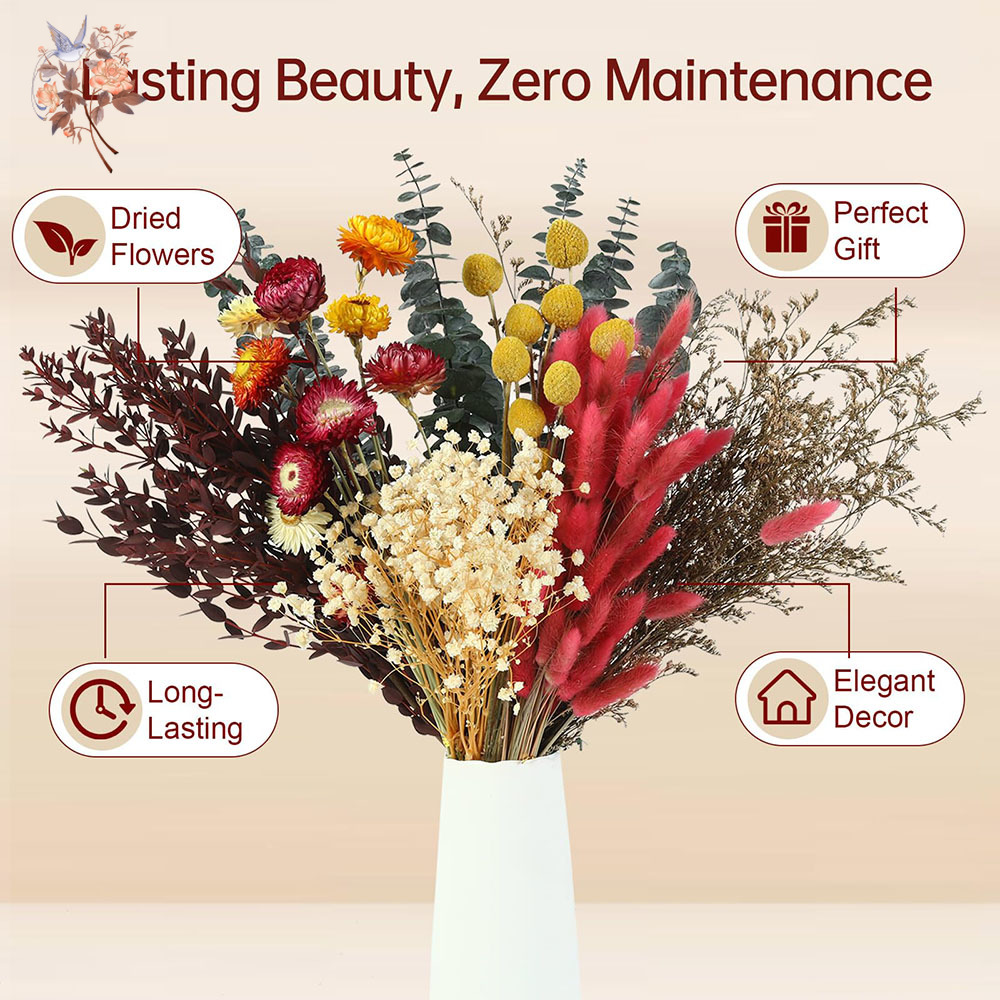 Dried Flowers Bulk Set 7 Kinds - đánh giá và giá Florist Supply Bulk