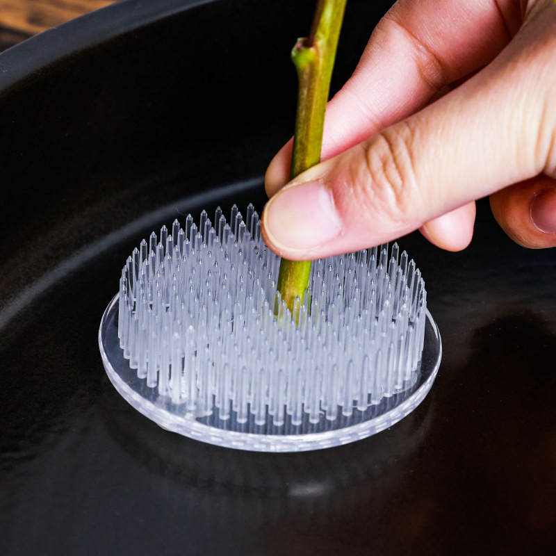 Round Ikebana Stem Holder Suct - đánh giá và giá Florist Supply Bulk