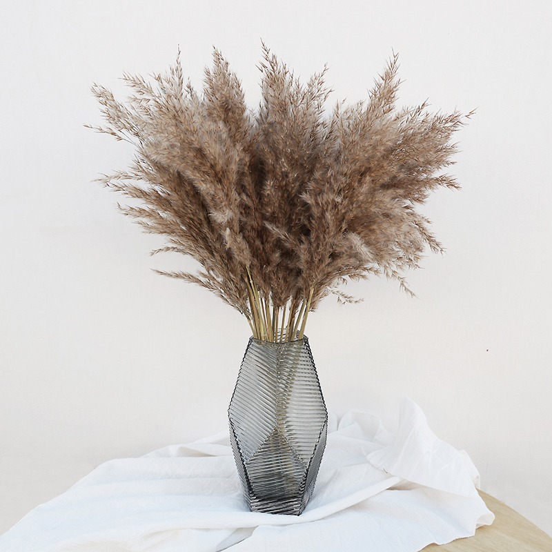 10Pcs Colorful Natural Reeds P - đánh giá và giá Florist Supply Vases