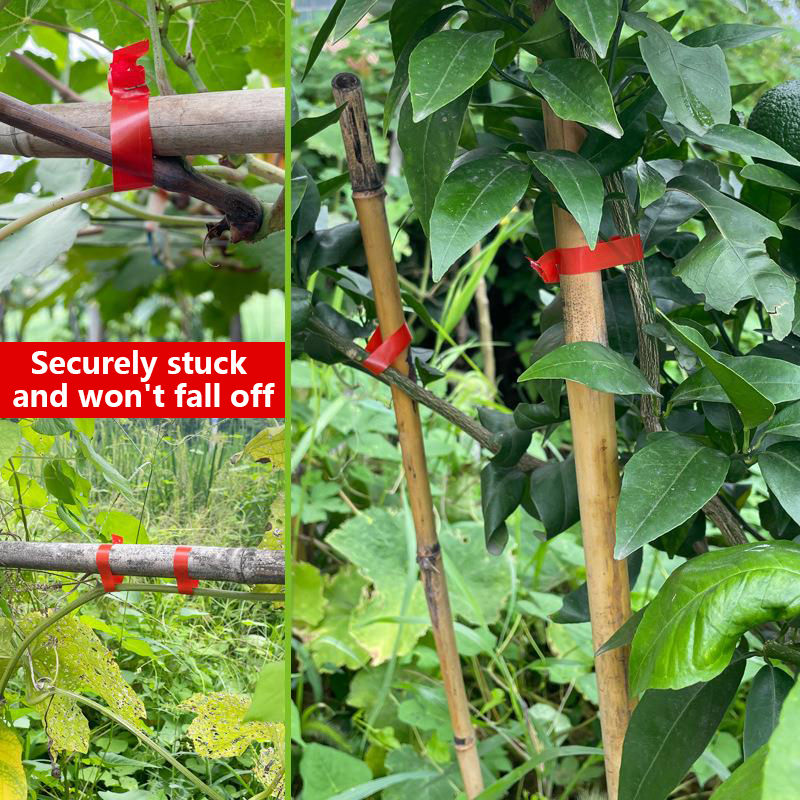 Household Garden Plant Tying T - đánh giá và giá Florist Supply Bulk